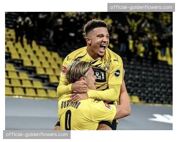 欧塞尔主场启用全新LED环绕屏，赛中播放全球球迷祝福集锦